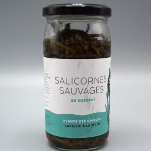 Salicornes Sauvages au Naturel