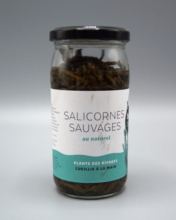 Salicornes Sauvages au Naturel